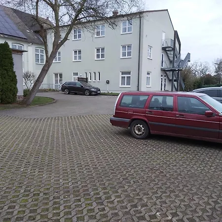 Goldener Fasan Oranienbaum-Woerlitz