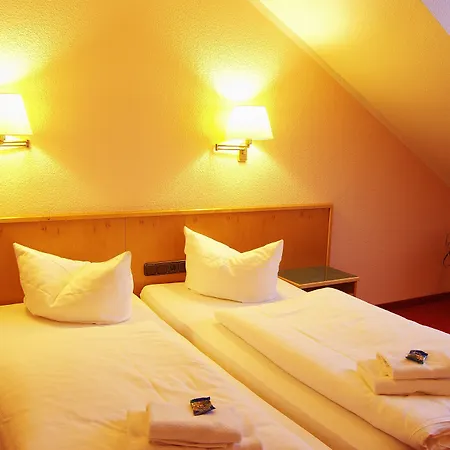 Goldener Fasan Oranienbaum-Woerlitz