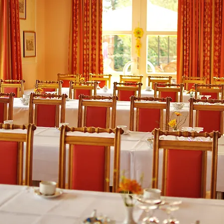 Goldener Fasan Oranienbaum-Woerlitz