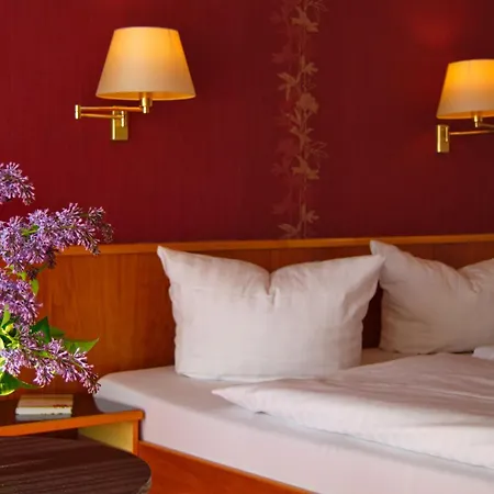 Maison d'hôtes Goldener Fasan