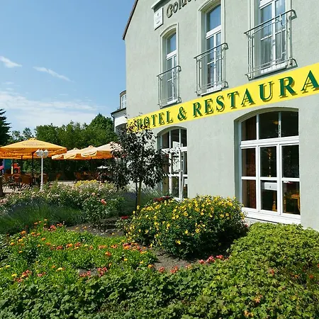 Konukevi Goldener Fasan