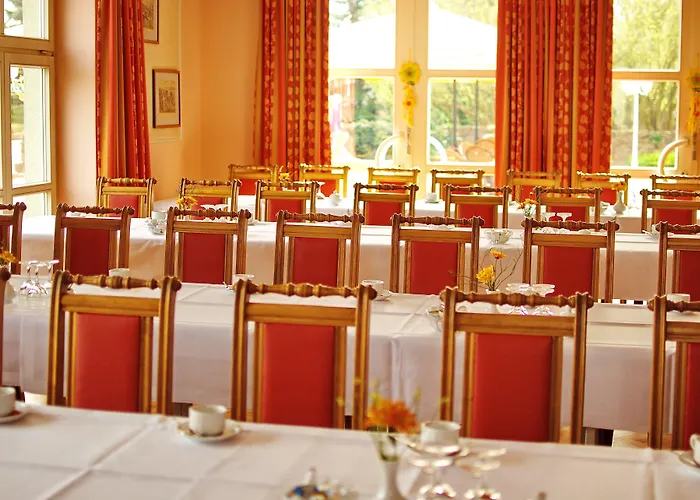 Goldener Fasan Oranienbaum-Woerlitz