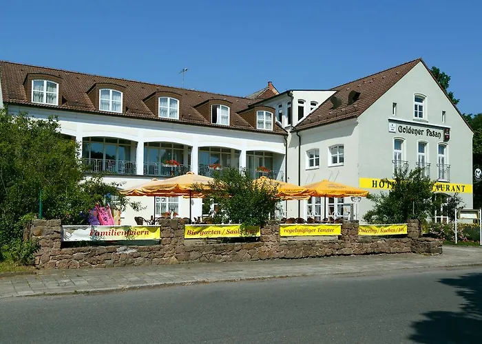 Goldener Fasan Maison d'hôtes Oranienbaum-Woerlitz