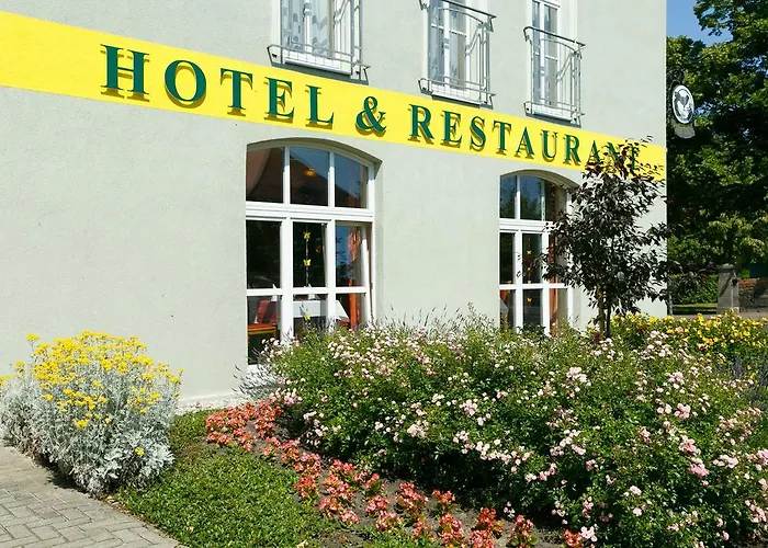 Goldener Fasan Maison d'hôtes