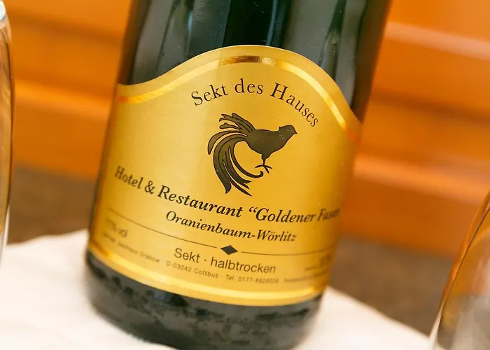 Goldener Fasan Maison d'hôtes Oranienbaum-Woerlitz