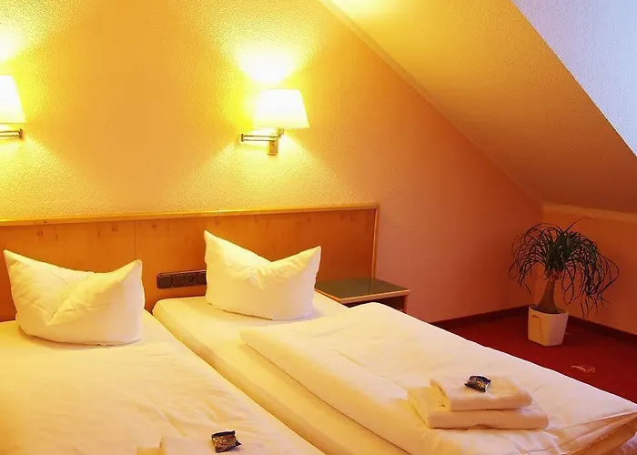 Goldener Fasan 3* Oranienbaum-Woerlitz